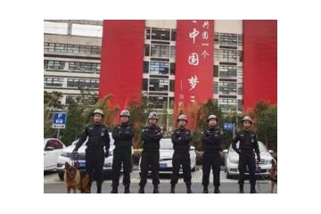 受欢迎的供应高效专业的上海保安服务好的公司值得拥有