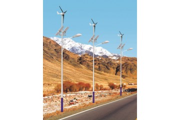 浙江8米新农村风光互补太阳能路灯的价格