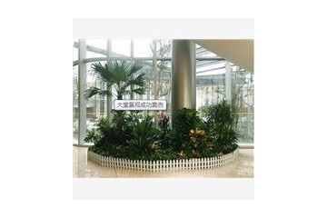 上海森永园艺有限公司竭诚提供花卉租摆，尊享上海森永优质服务
