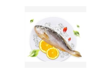 上海市在哪能买到品质好的冰鲜鲑鱼，火食皇家渔场供应