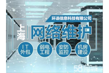 上海企业it外包服务公司 网络布线 监控摄像头按装