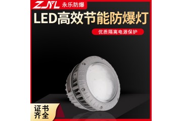 LED高效节能防爆灯军工仓储医药化工加油站钢厂100W