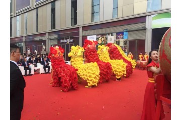 上海舞龙舞狮表演团队