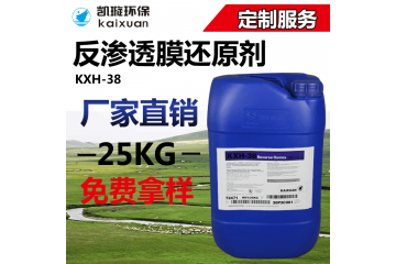 KXH-38反渗透膜还原剂除垢剂水处理药剂生产供应还原剂