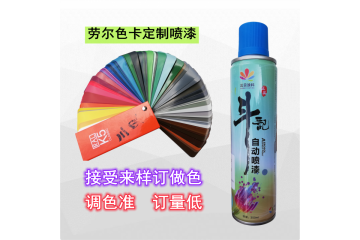 广东江门涂料厂家生产定制自喷漆手喷漆 可订做颜色 起订量低