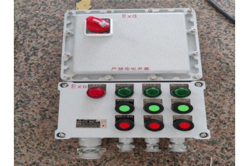 BXK-T防爆控制箱生产厂家