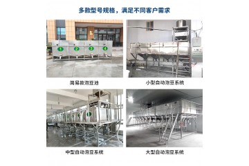 深圳日产1吨到5吨豆腐设备生产线 豆腐设备