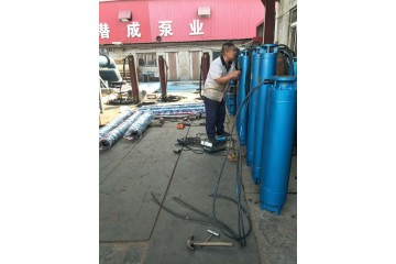 天津高扬程300米深井泵-250QJ50-300-75KW深井泵厂家