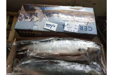 新鲜的挪威三文鱼批发 北京三文鱼进货渠道 北京三文鱼供货价格