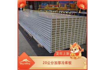 龙年上新 20公分加厚冷库板 定做各类高架库用超长超厚彩钢保温板