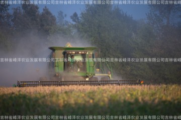 黑龙江省黄豆价格表 大豆收购商电话 黑龙江黄豆今天价格
