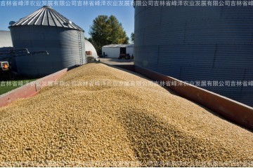 美国大豆多钱一吨 中国从美国进口大豆价格 今日进口大豆销售价