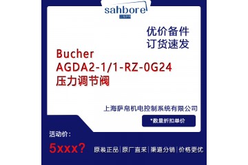 Bucher AGDA2-1/1-RZ-0G24压力调节阀